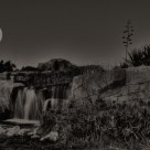 moon light lady